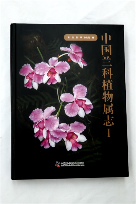 1769762289405785.jpg 5.JPG