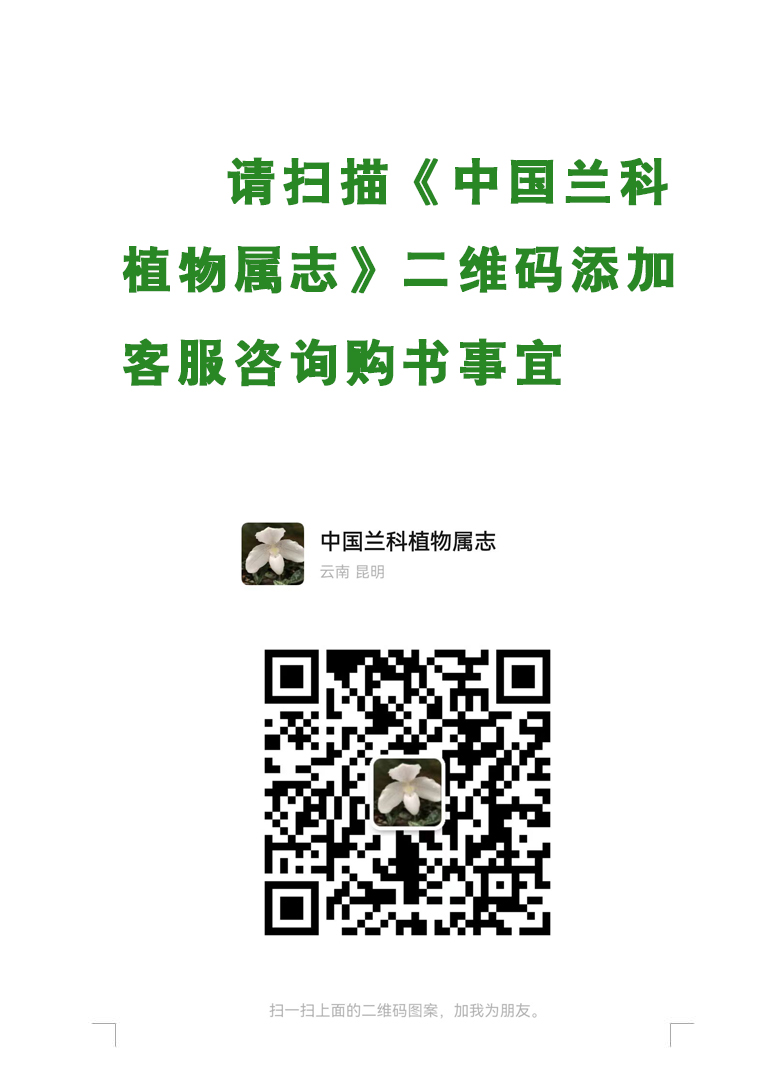 1769762413835187.jpg 03.jpg